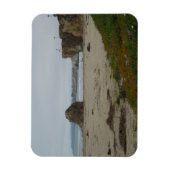 Magnet Flexible Falaises Le Long De La Plage De Pismo (Vertical)