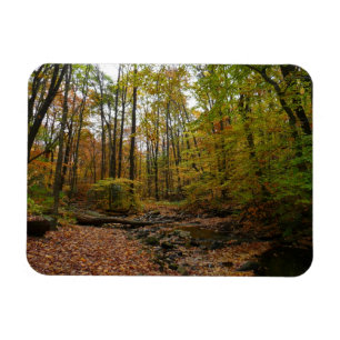 Magnet Flexible Fall Creek à Laurel Hill State Park Pennsylvania