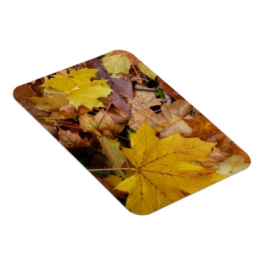 Magnet Flexible Fallen Maple Feuille Jaune Automne Nature (Côté Droit)
