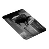 Magnet Flexible Falln Cemetery Crow (Côté Droit)