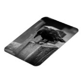 Magnet Flexible Falln Cemetery Crow (Côté Gauche)