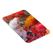 Magnet Flexible Falln Gathering Koi (Côté Droit)