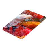 Magnet Flexible Falln Gathering Koi (Côté Gauche)