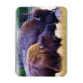 Magnet Flexible Famille American Bison (Vertical)