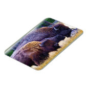 Magnet Flexible Famille American Bison (Côté Gauche)