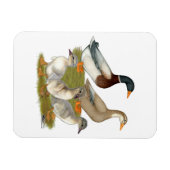Magnet Flexible Famille de canard de la Saxe (Horizontal)