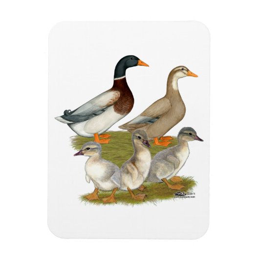 Magnet Flexible Famille de canard de la Saxe (Vertical)