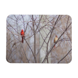 Magnet Flexible Famille de cardinaux