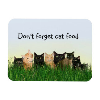 Magnet Flexible Famille de chats