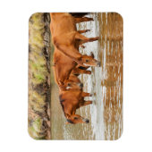 Magnet Flexible Famille de Cheval Brown à la rivière (Vertical)