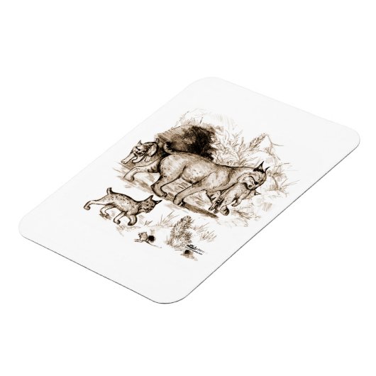 Magnet Flexible Famille de Lynx roux (Côté Gauche)