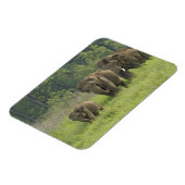 Magnet Flexible Famille d'éléphants indiens (Côté Gauche)
