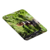 Magnet Flexible Famille d'ours brun (Côté Droit)