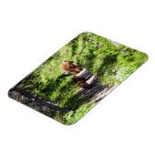 Magnet Flexible Famille d'ours brun (Côté Gauche)