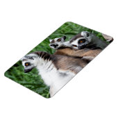 Magnet Flexible Famille Lemur à queue de ceinture (Côté Gauche)