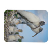 Magnet Flexible "Famille Stork" (Horizontal)
