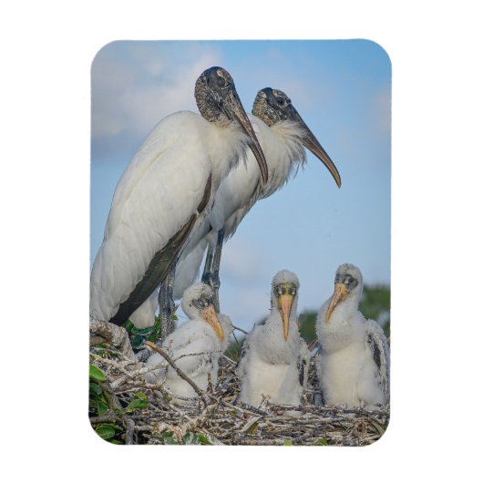 Magnet Flexible "Famille Stork" (Vertical)