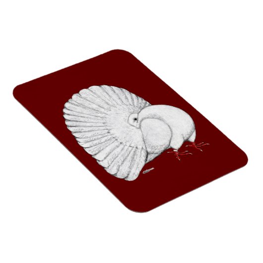 Magnet Flexible Fantail : Blanc (Côté Droit)