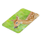 Magnet Flexible Faon de cerf à queue blanche | Minnesota (Côté Gauche)