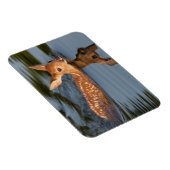 Magnet Flexible Faon de cerf | Minnesota (Côté Droit)
