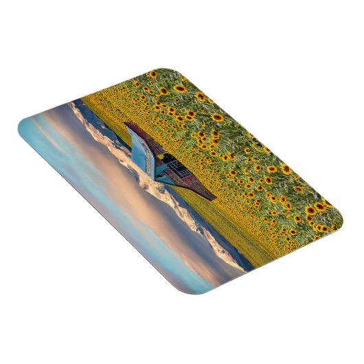 Magnet Flexible Farms | Field (Côté Droit)