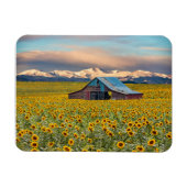 Magnet Flexible Farms | Field (Horizontal)