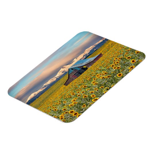 Magnet Flexible Farms | Field (Côté Gauche)