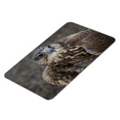 Magnet Flexible Faucon (Côté Gauche)