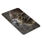 Magnet Flexible Faucon (Côté Droit)