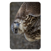 Magnet Flexible Faucon (Vertical)