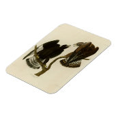 Magnet Flexible Faucon à pattes rousses - Audubon's Birds of Ameri (Côté Gauche)