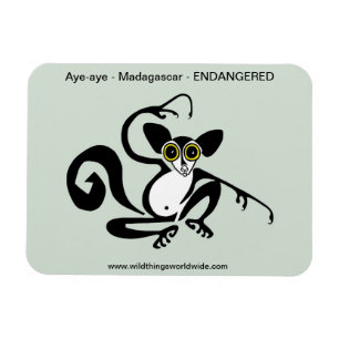 Magnet Flexible Faune étrange - AYE-AYE -Primate - Lemur -