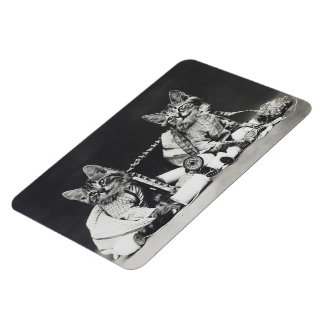 Magnet Flexible Fauteurs de troubles chatons 1914