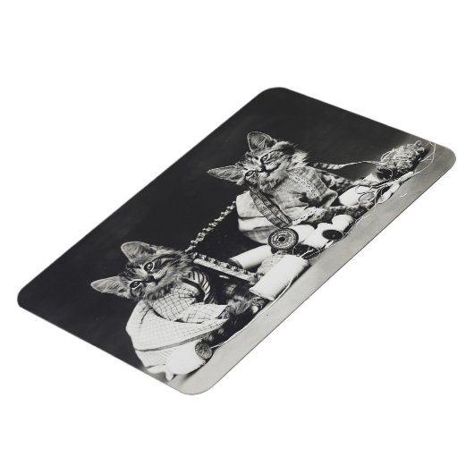 Magnet Flexible Fauteurs de troubles chatons 1914 (Côté Gauche)