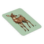 Magnet Flexible Fawn with Mint arrière - plan (Côté Droit)