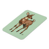 Magnet Flexible Fawn with Mint arrière - plan (Côté Gauche)
