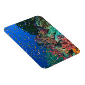 Magnet Flexible Fées basslets en banc (Pseudanthias (Côté Droit)