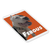 Magnet Flexible Fergus Le Chien Des Barbiers (Côté Droit)