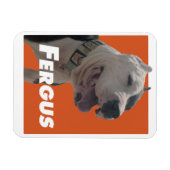 Magnet Flexible Fergus Le Chien Des Barbiers (Horizontal)
