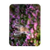 Magnet Flexible Ferme de lapins (Vertical)