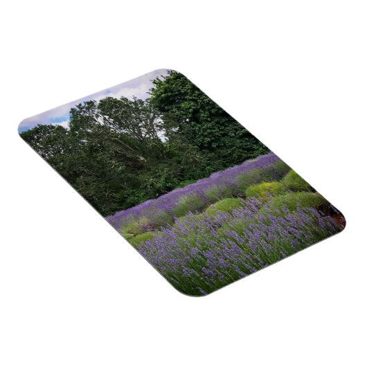 Magnet Flexible Ferme de Lavender (Côté Droit)