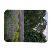 Magnet Flexible Ferme de Lavender (Horizontal)