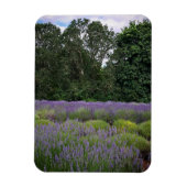 Magnet Flexible Ferme de Lavender (Vertical)