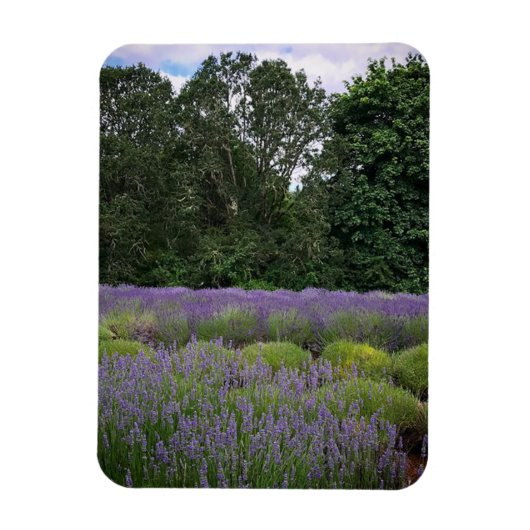 Magnet Flexible Ferme de Lavender (Vertical)