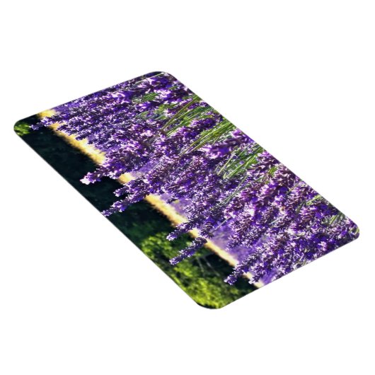 Magnet Flexible Ferme de Lavender (Côté Droit)