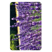 Magnet Flexible Ferme de Lavender (Vertical)