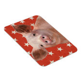 Magnet Flexible Ferme patriotique - Cochon (Côté Droit)