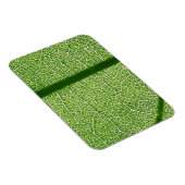 Magnet Flexible Fermer la feuille verte (Côté Droit)