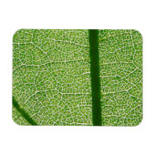 Magnet Flexible Fermer la feuille verte (Horizontal)