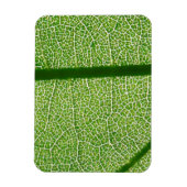 Magnet Flexible Fermer la feuille verte (Vertical)